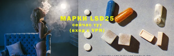 PSILOCYBIN Медвежьегорск