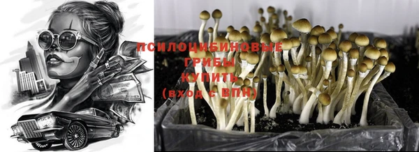 ALPHA PVP Мегион