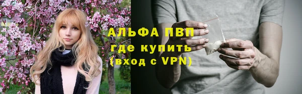 PSILOCYBIN Медвежьегорск